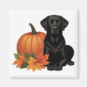 Schwarzes Labrador mit Herbstblättern und Pumpkin Magnet (Vorne)