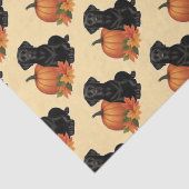 Schwarzes Labrador mit Herbstblättern und Pumpkin Seidenpapier (Detail)