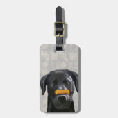 Schwarzes Labrador mit Knochen an der Nase 2 Gepäckanhänger (Vorderseite vertikal)