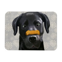 Schwarzes Labrador mit Knochen an der Nase 2