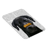 Schwarzes Labrador mit Knochen auf der Nase Magnet (Rechte Seite)