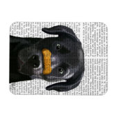 Schwarzes Labrador mit Knochen auf der Nase Magnet (Horizontal)