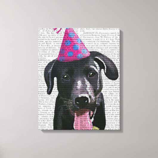 Schwarzes Labrador mit Party-Hut Leinwanddruck (Vorderseite)