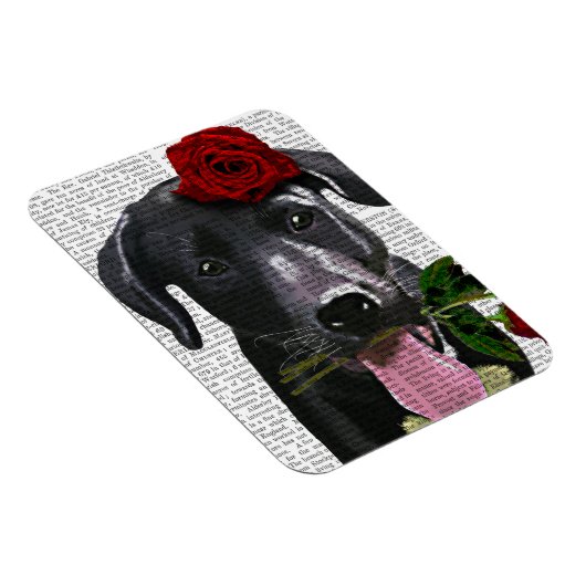 Schwarzes Labrador mit Rose 2 Magnet (Rechte Seite)