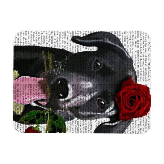 Schwarzes Labrador mit Rose 2 Magnet (Horizontal)