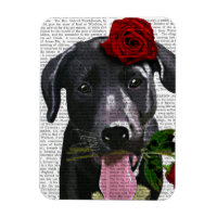 Schwarzes Labrador mit Rose 2