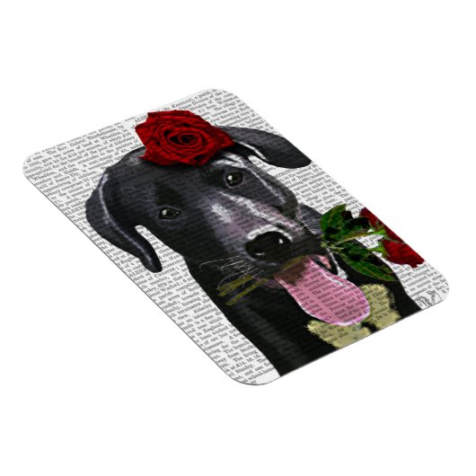 Schwarzes Labrador mit Rose Magnet (Rechte Seite)