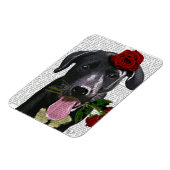 Schwarzes Labrador mit Rose Magnet (Linke Seite)