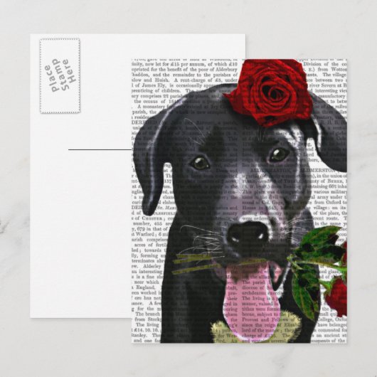 Schwarzes Labrador mit Rose Postkarte (Vorne/Hinten)
