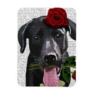Schwarzes Labrador mit Rosen 2 Magnet