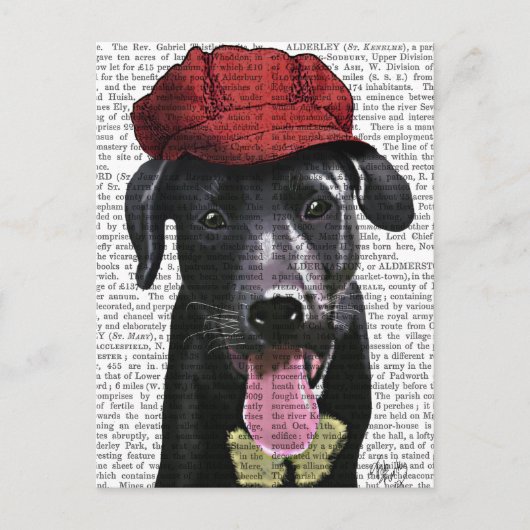 Schwarzes Labrador mit roter Spitze Postkarte (Vorderseite)