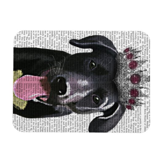 Schwarzes Labrador mit Tiara Magnet (Horizontal)