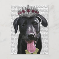 Schwarzes Labrador mit Tiara