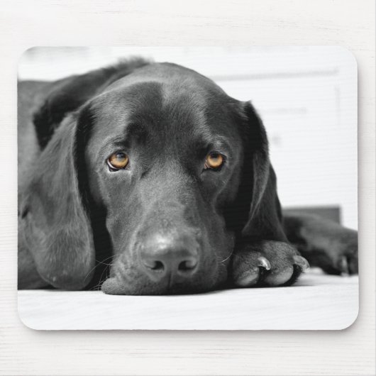 Schwarzes Labrador Mousepad (Vorne)