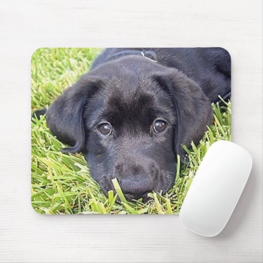 Schwarzes Labrador mousepad (Mit Mouse)