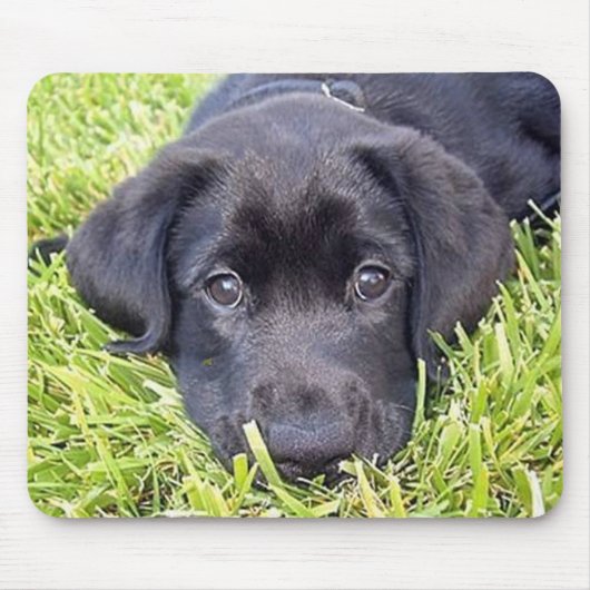 Schwarzes Labrador mousepad (Vorne)