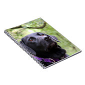Schwarzes Labrador Notizblock (Rechte Seite)