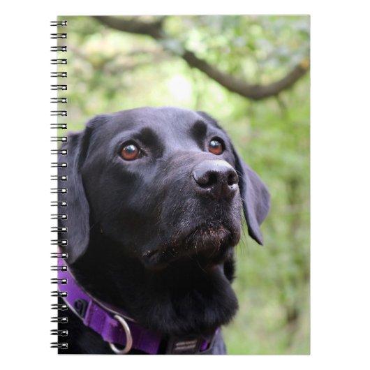 Schwarzes Labrador Notizblock (Vorderseite)