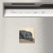 Schwarzes Labrador-Portrait Magnet (In Situ (Geschirrspüler))