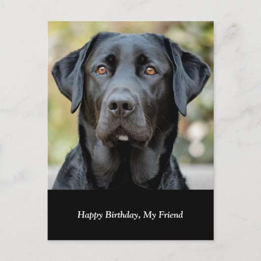 Schwarzes Labrador, Postkarte für benutzerdefinier (Vorderseite)