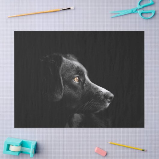 Schwarzes Labrador Retrievenpapier Seidenpapier (Basteln)