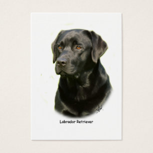 Schwarzes Labrador retriever