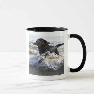 Schwarzes Labrador retriever, das durch Brandung Tasse