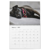 Schwarzes Labrador Retriever Dog Foto Kalender (Feb 2027)