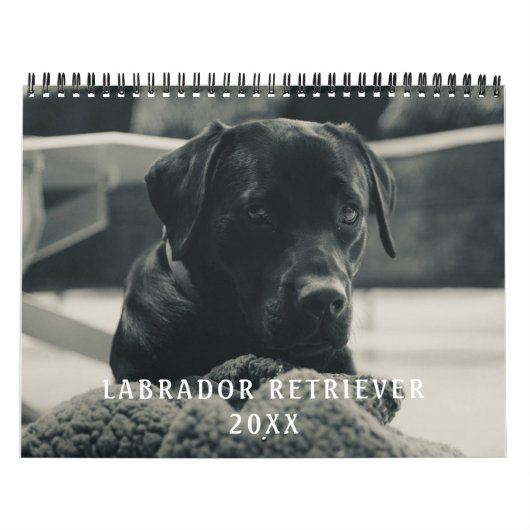 Schwarzes Labrador Retriever Dog Foto Kalender (Titelbild)