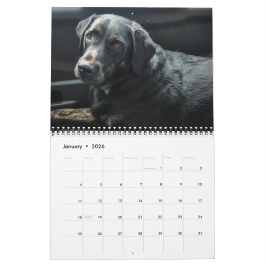 Schwarzes Labrador Retriever Dog Foto Kalender (Jan 2026)