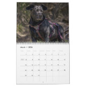 Schwarzes Labrador Retriever Dog Foto Kalender (Mär 2026)