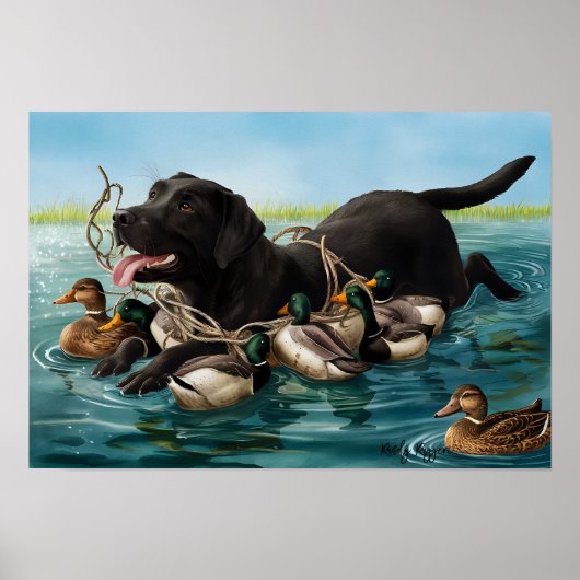 Schwarzes Labrador Retriever, Entenjäger-Poster Poster (Vorne)