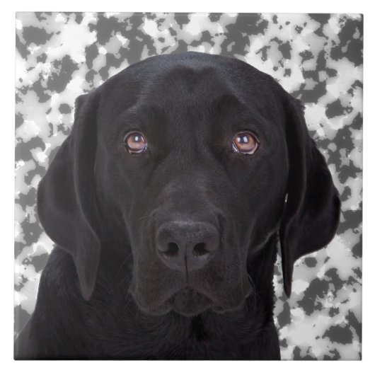 Schwarzes Labrador retriever Fliese (Vorderseite)