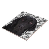Schwarzes Labrador retriever Fliese (Seite)
