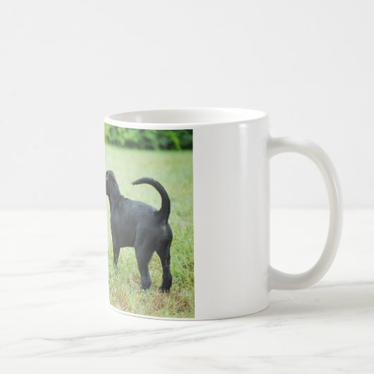 Schwarzes Labrador retriever Kaffeetasse (Rechts)