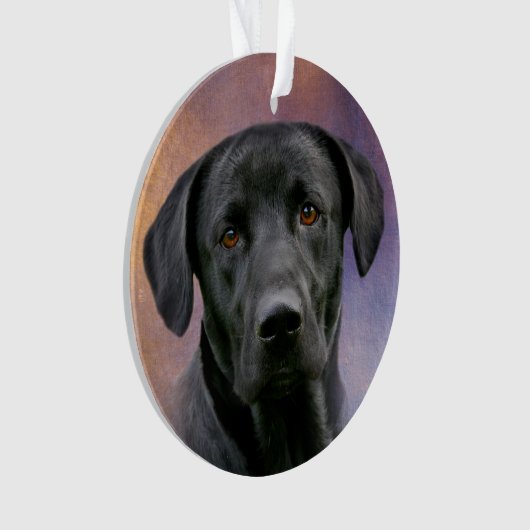Schwarzes Labrador retriever Ornament (Vorderseite)