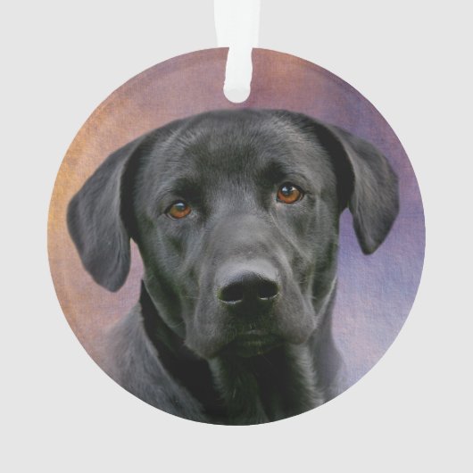 Schwarzes Labrador retriever Ornament (Rückseite)