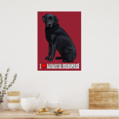 Schwarzes Labrador Retriever Portrait Poster (Küche)