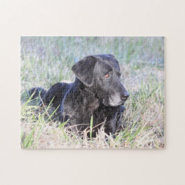 Schwarzes Labrador retriever Puzzle
