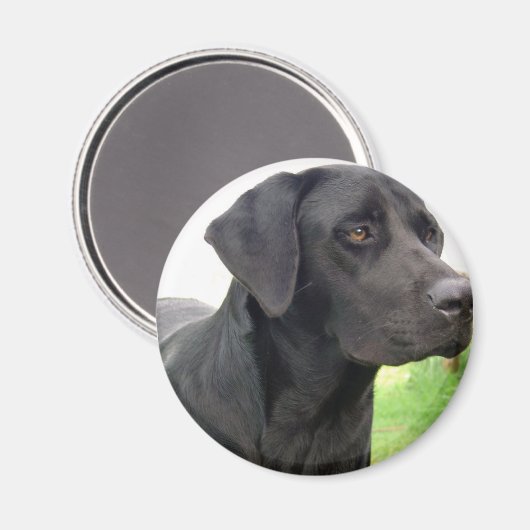 Schwarzes Labrador Retriever Round Magnet (Vorderseite/Rückseite)