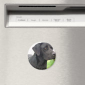 Schwarzes Labrador Retriever Round Magnet (In Situ (Geschirrspüler))