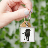 Schwarzes labrador retriever schlüsselanhänger (Hand)