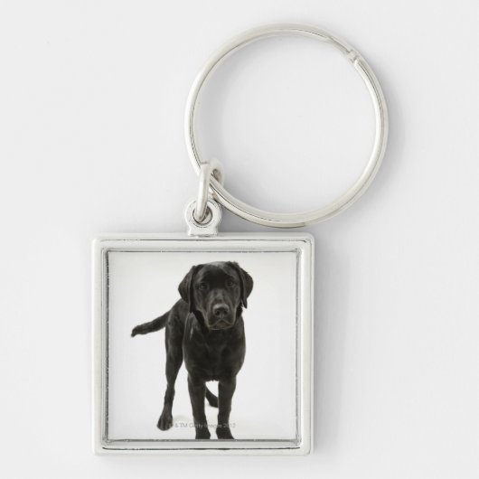 Schwarzes labrador retriever schlüsselanhänger (Vorne)