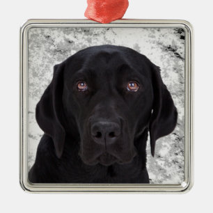 Schwarzes Labrador retriever Silbernes Ornament
