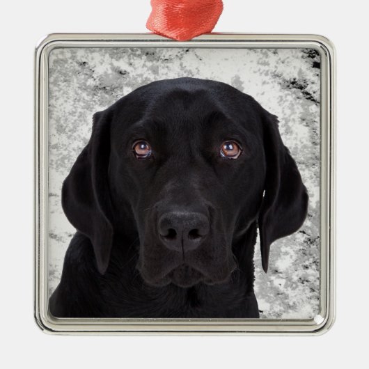 Schwarzes Labrador retriever Silbernes Ornament (Vorne)