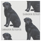 Schwarzes Labrador retriever Stoff (Nahaufnahme)