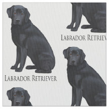 Schwarzes Labrador retriever