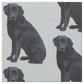 Schwarzes Labrador retriever Stoff (Nahaufnahme)