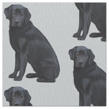 Schwarzes Labrador retriever