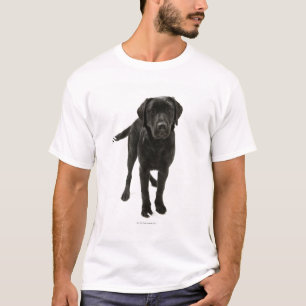 Schwarzes labrador retriever T-Shirt